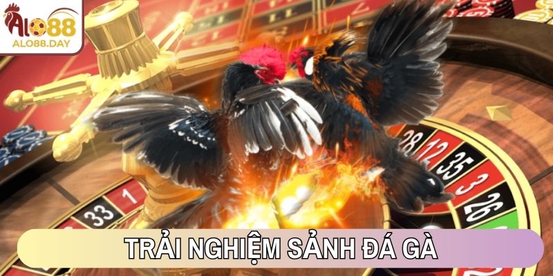 Trải nghiệm sảnh Đá Gà