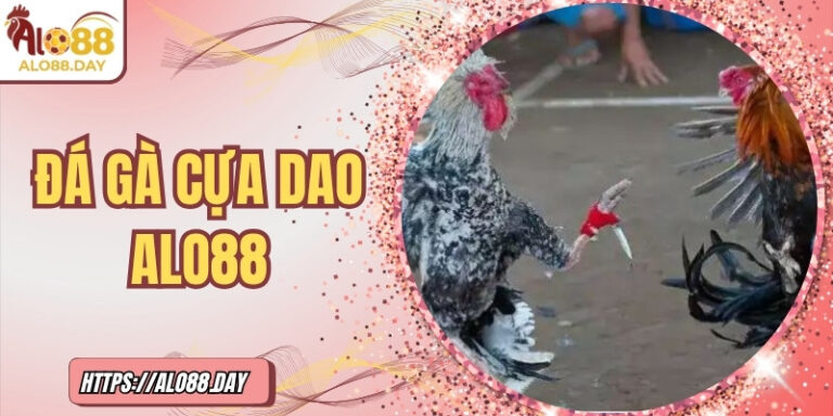 Đá gà cựa dao ALO88 – Đối kháng đỉnh cao với thưởng hấp dẫn