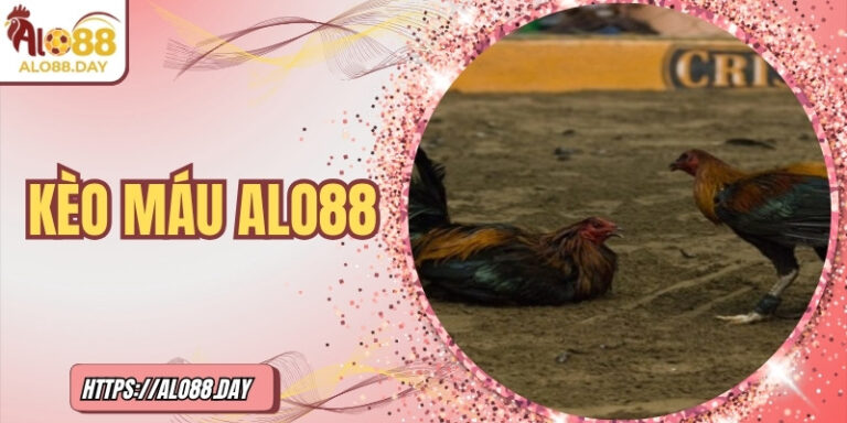 Kèo máu ALO88 – Thử thách cảm xúc, chinh phục chiến thắng
